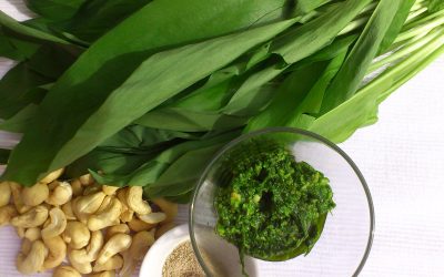 Frühlingsgefühle und Pestogelüste